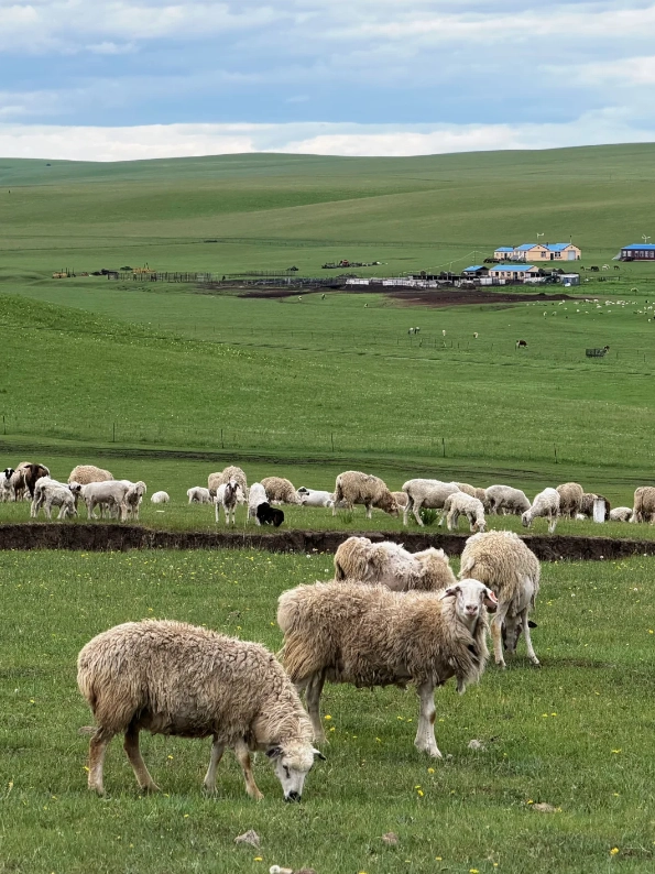 Travel photos of Hulunbuir: best photo spots Hulunbuir