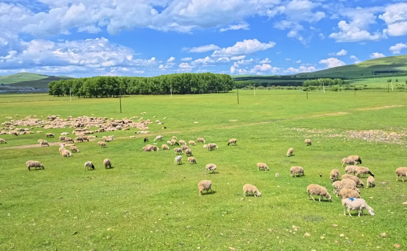 How Long to Spend at Hulunbuir Grassland: 1-3 Days Realistic Plan