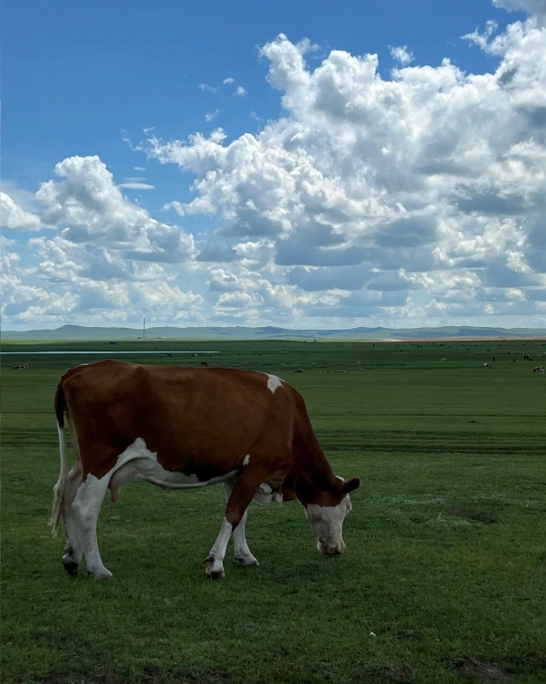 Hulunbuir grassland transport Hulunbuir grassland transport