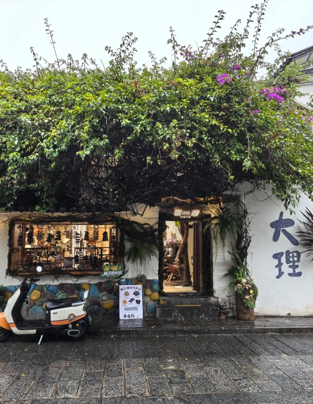 dali ancient city half-day tour dali ancient city half-day tour