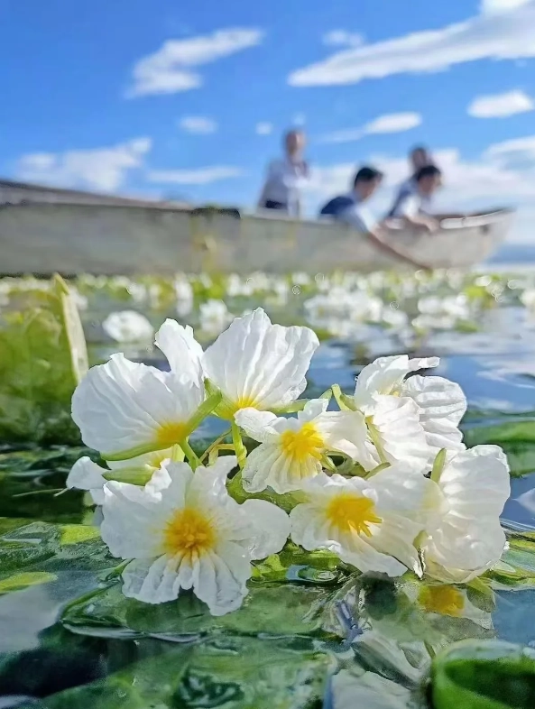 buying lugu lake tickets buying lugu lake tickets