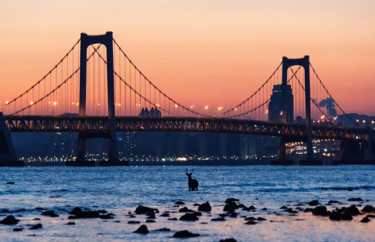 Binhai Road Guided Tour: Insider Tips to Skip Crowds & Save Time