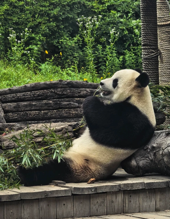 Dalian Zoo tickets Dalian Zoo tickets