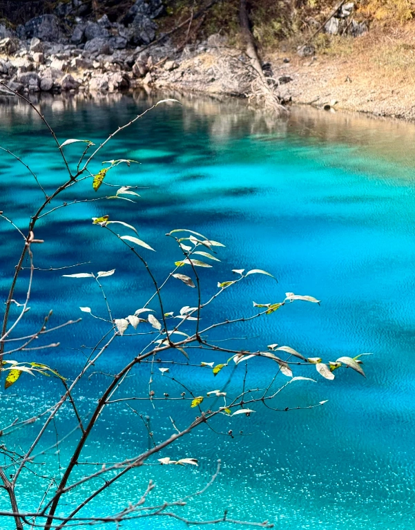 jiuzhaigou ticket price