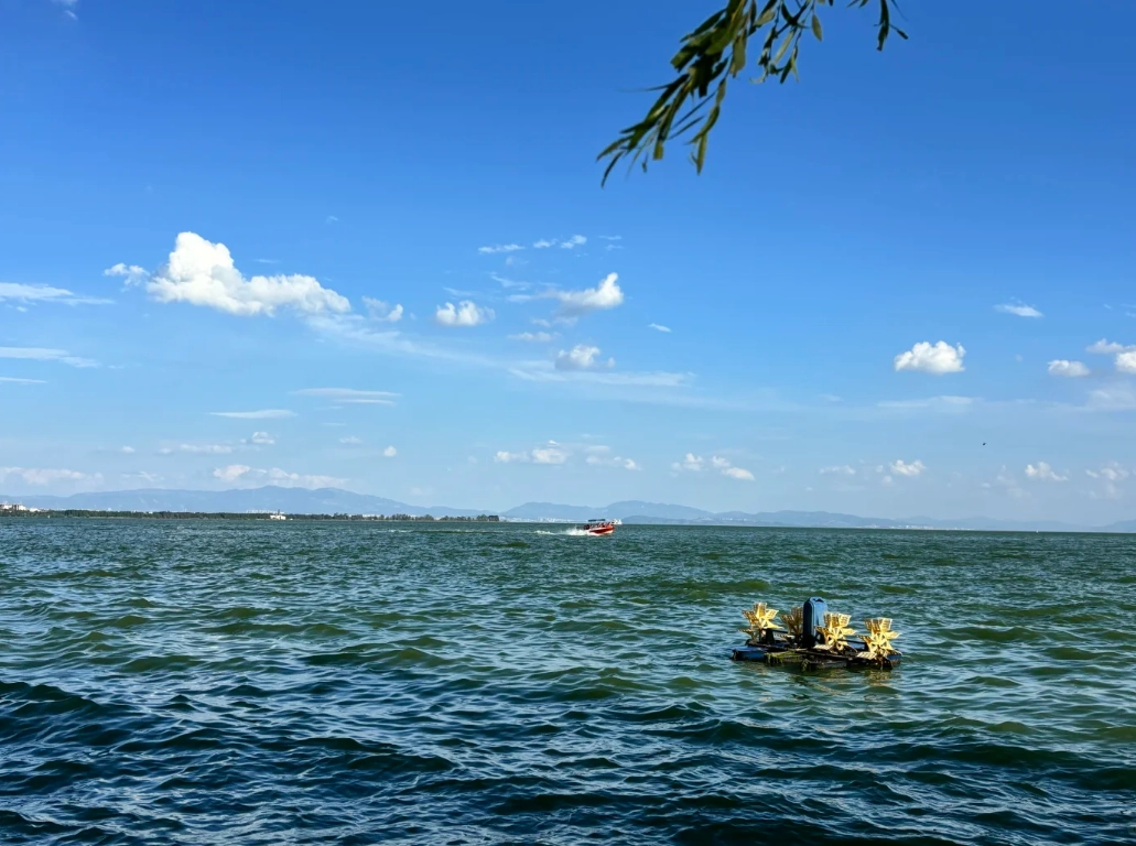 Dianchi Lake seasons