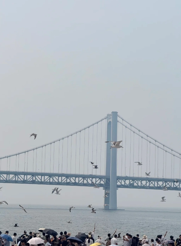 Binhai Road tour Binhai Road tour