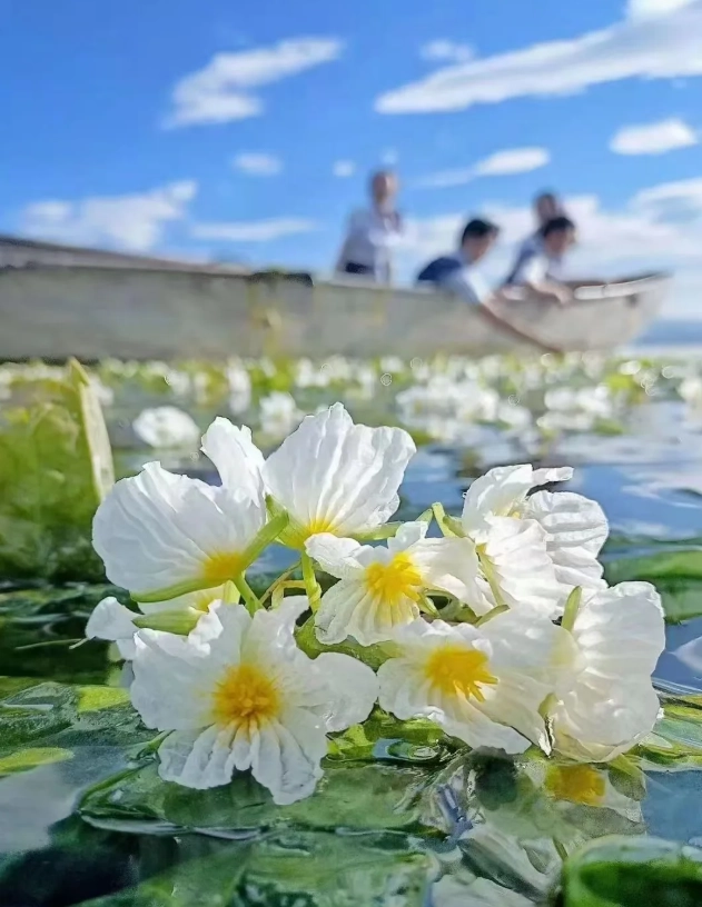lugu lake ticket price lugu lake ticket price