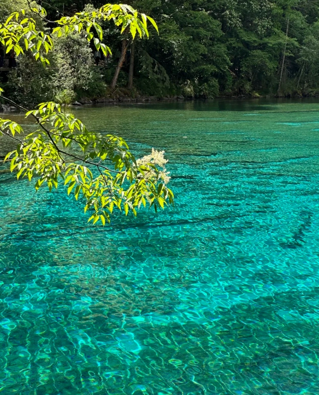 Jiuzhaigou best time to visit