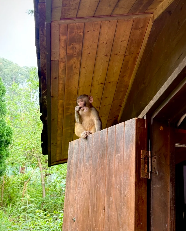 Yunnan Wildlife Park price Yunnan Wildlife Park price