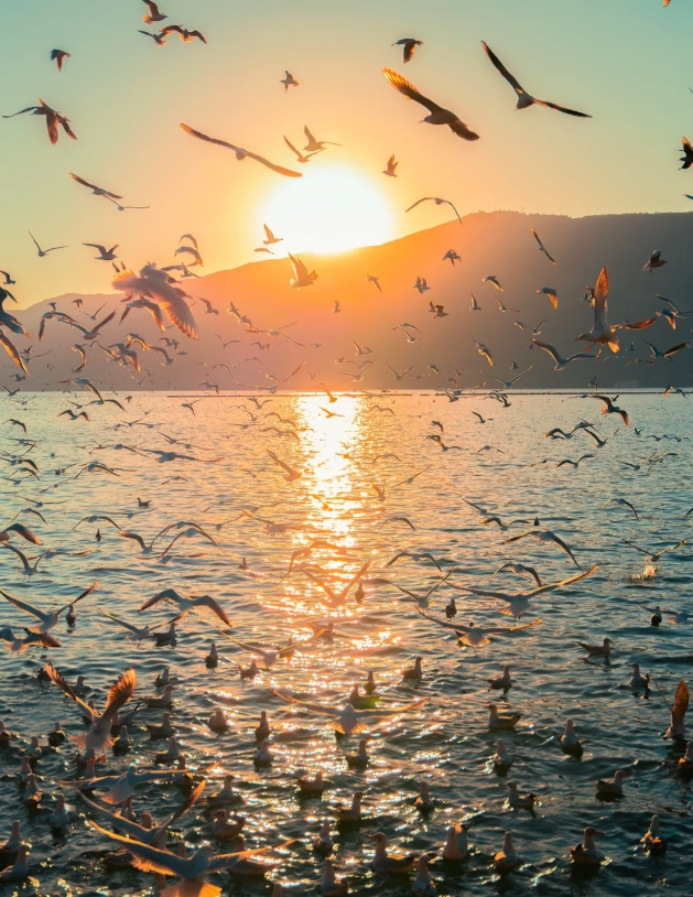 Dianchi Lake sunrise photography Dianchi Lake sunrise photography