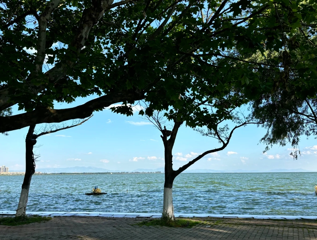 Kunming Dianchi Lake
