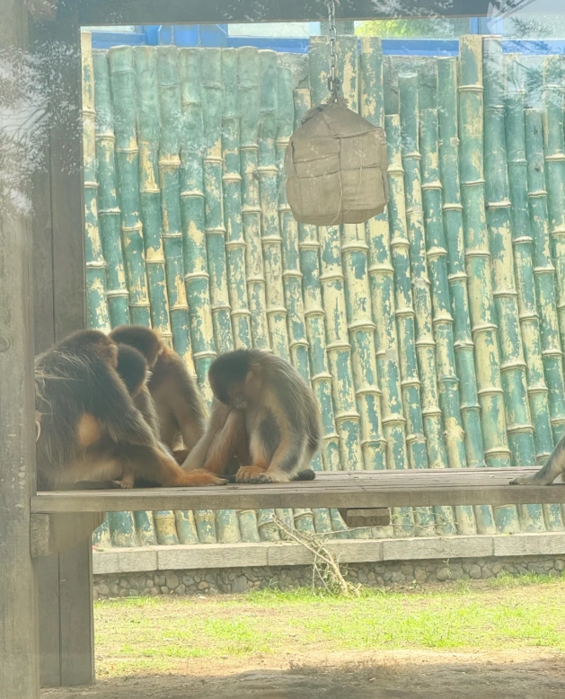 Dalian Forest Zoo tips Dalian Forest Zoo tips