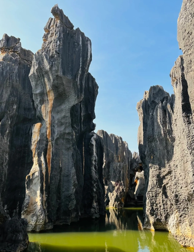 Stone Forest entrance fee