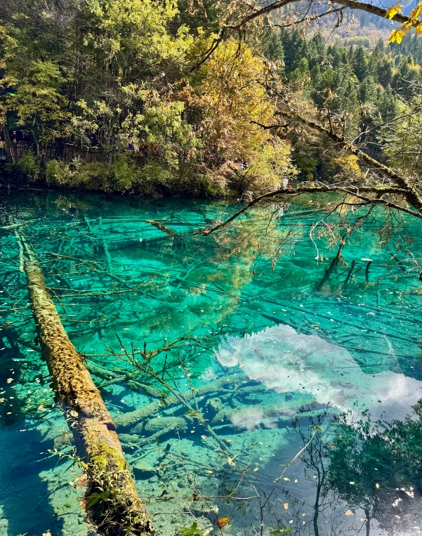 how to buy jiuzhaigou tickets