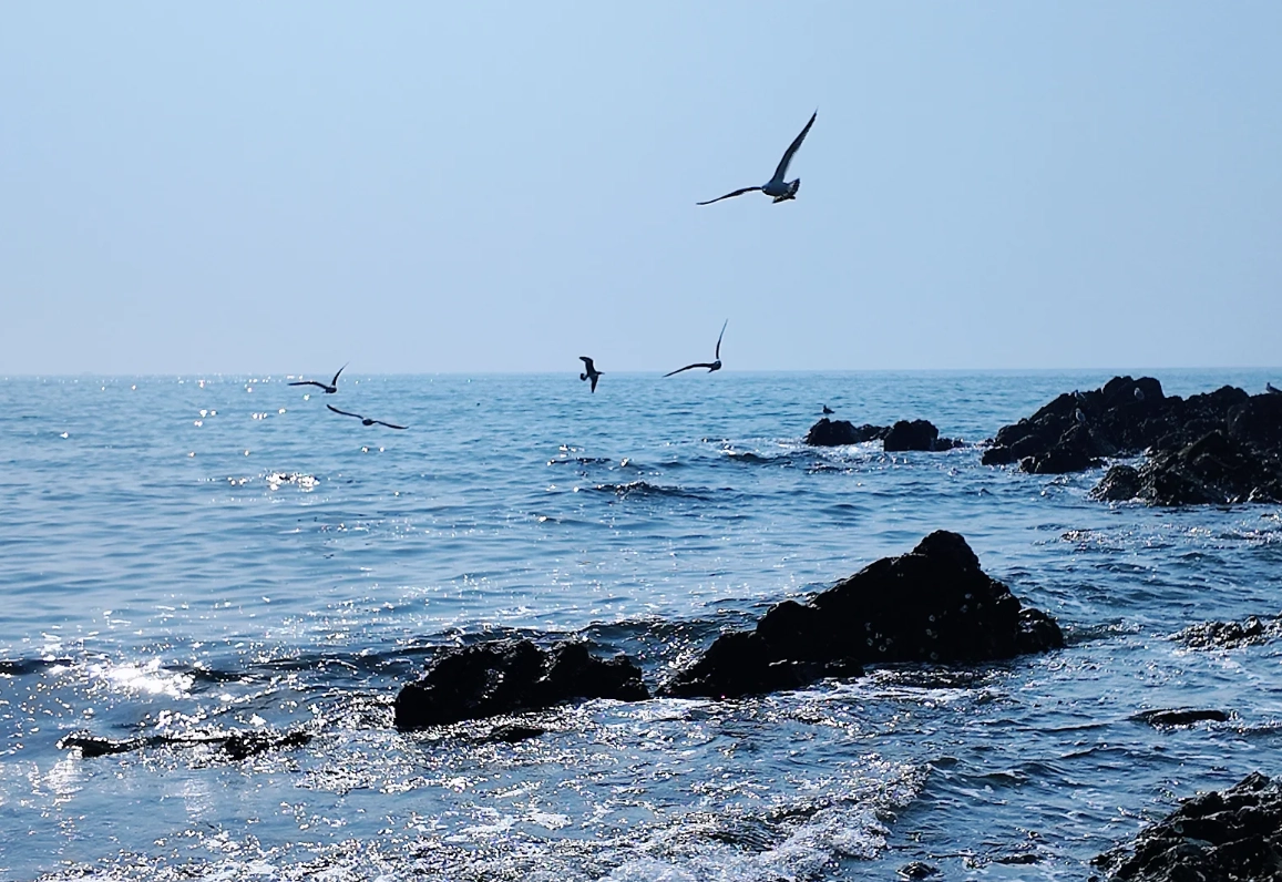 best time to visit Xinghai Square best time to visit Xinghai Square