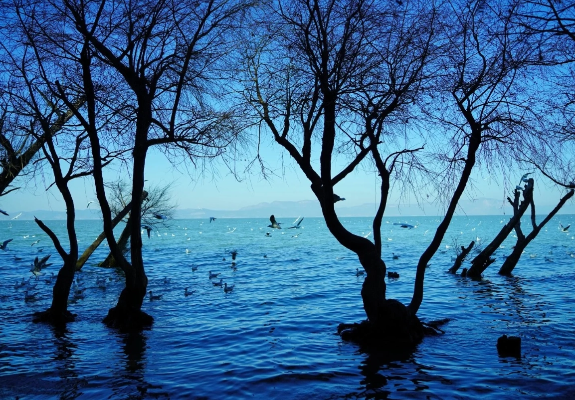 Kunming guided tours Kunming guided tours