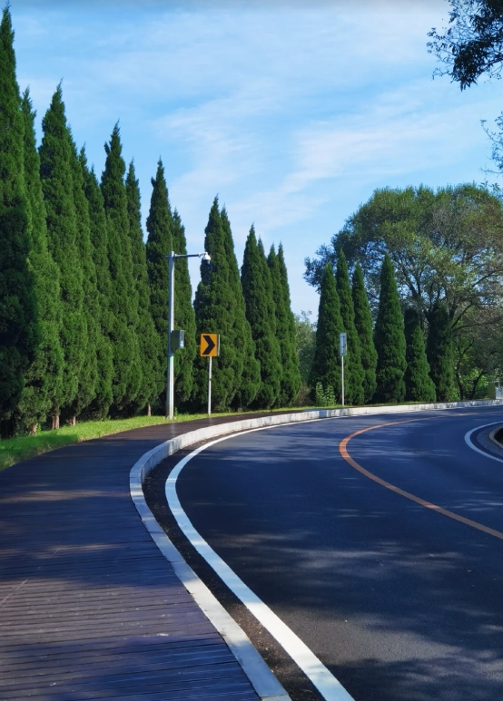 Binhai Road boardwalk photo spots