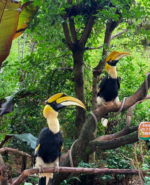 Yunnan Wildlife Park tickets Yunnan Wildlife Park tickets