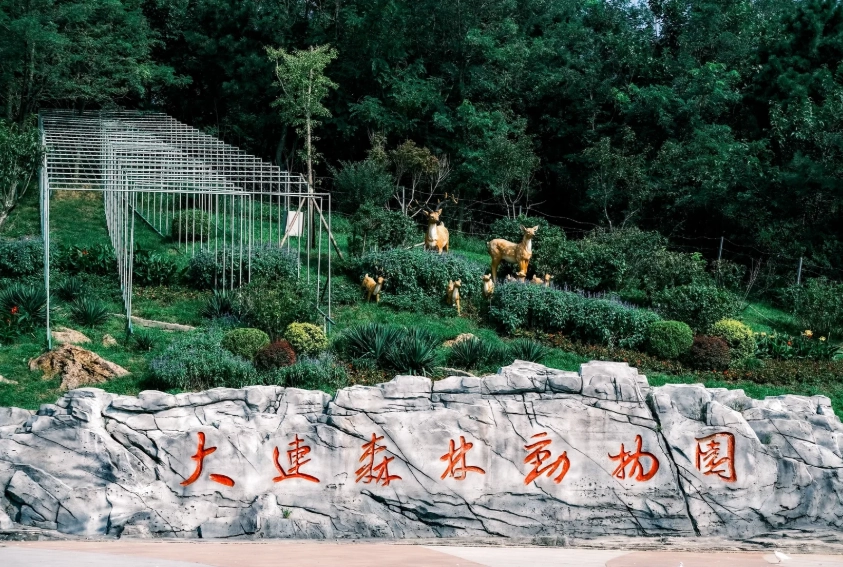 How to Get to Dalian Forest Zoo: 3 Insider Routes to Skip the Crowds
