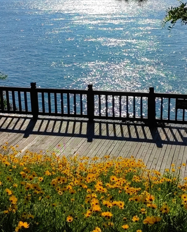 Dalian Binhai Road walking route