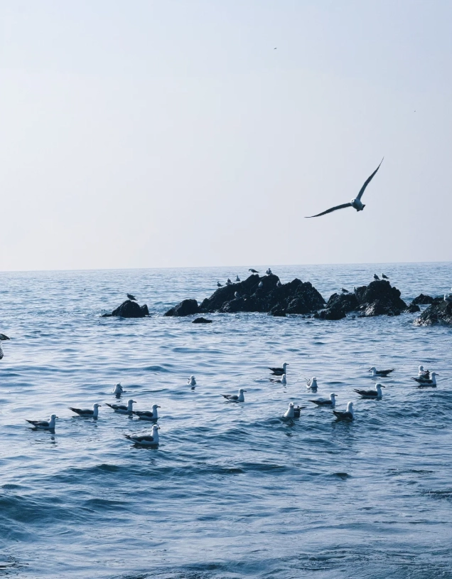 things to do in Xinghai Square things to do in Xinghai Square