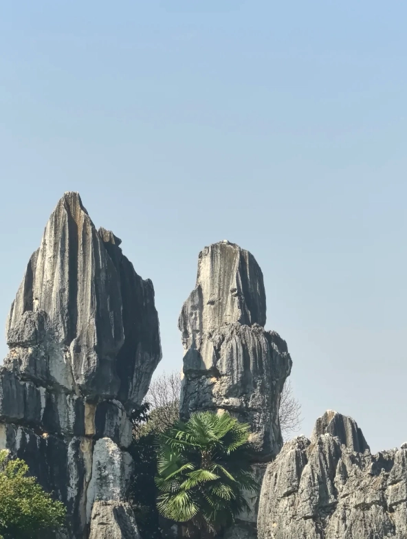Best time to visit Stone Forest Best time to visit Stone Forest