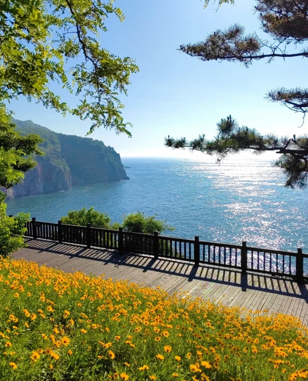 Dalian Binhai Road walking route
