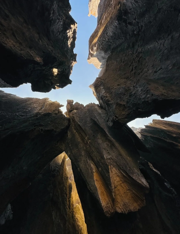Stone Forest Scenic Area ticket tips