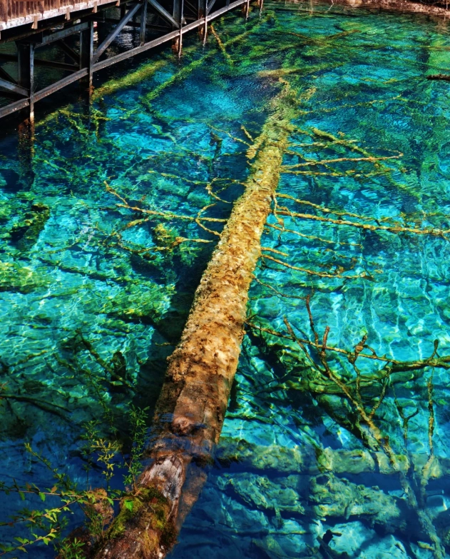 Jiuzhaigou national park visit duration