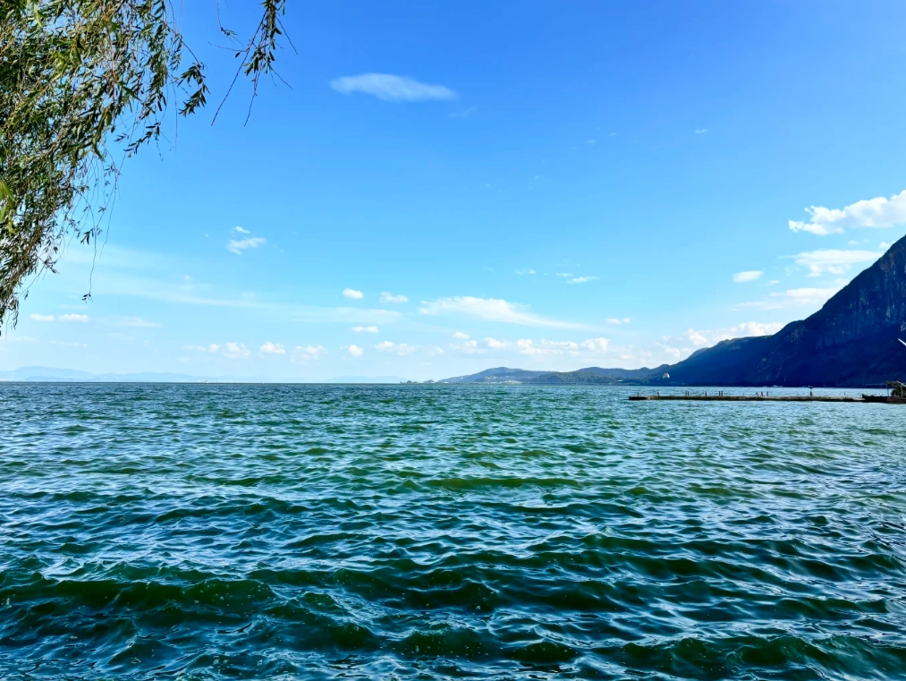 Dianchi Lake winter