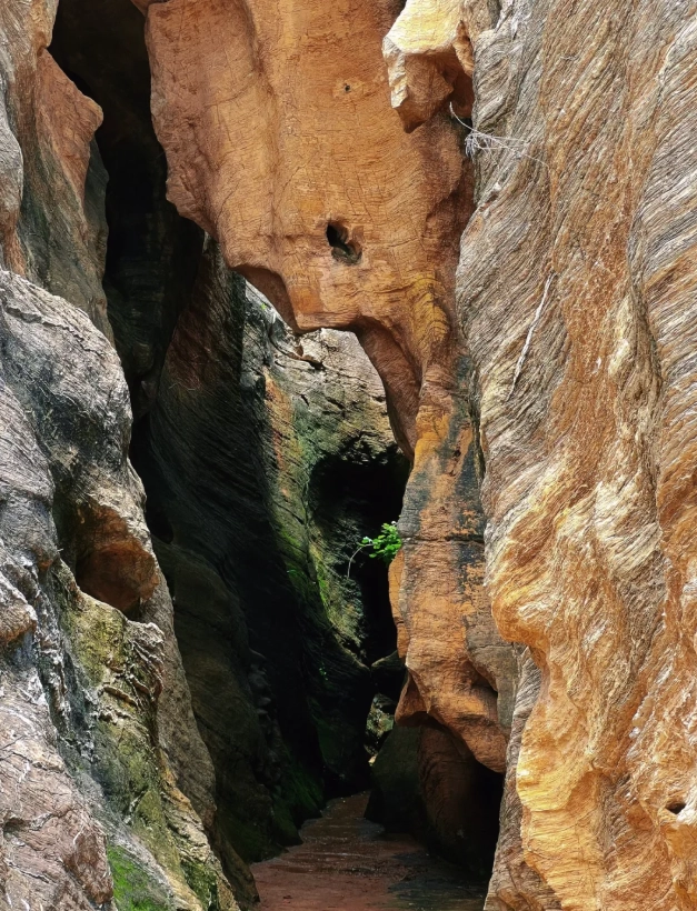 golden pebble beach national geopark tips golden pebble beach national geopark tips