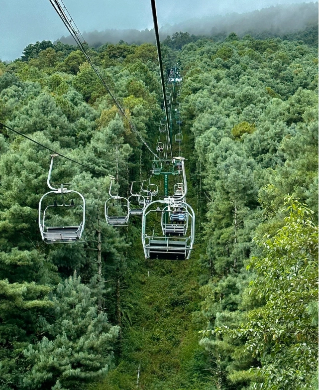 cangshan mountain ticket