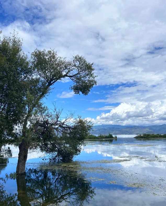 Is Erhai Lake Worth Visiting? My Honest Take After 50+ Trips