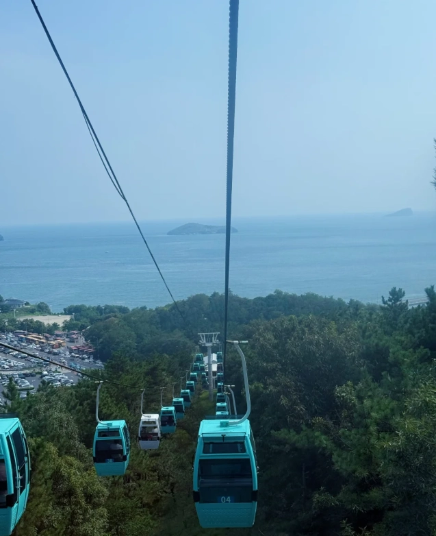 Dalian Forest Zoo how to visit Dalian Forest Zoo how to visit