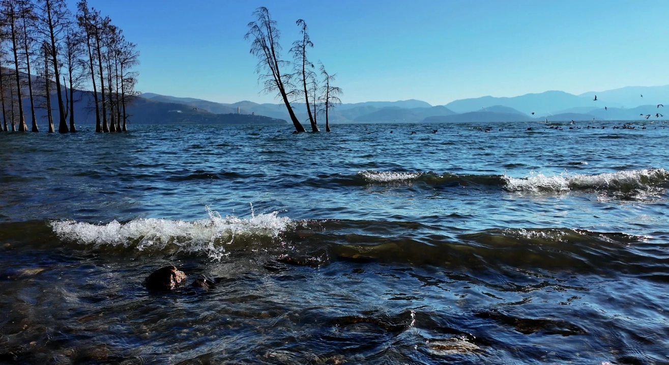 Erhai Lake Day Trip: Dodge Crowds & Maximize Your Time