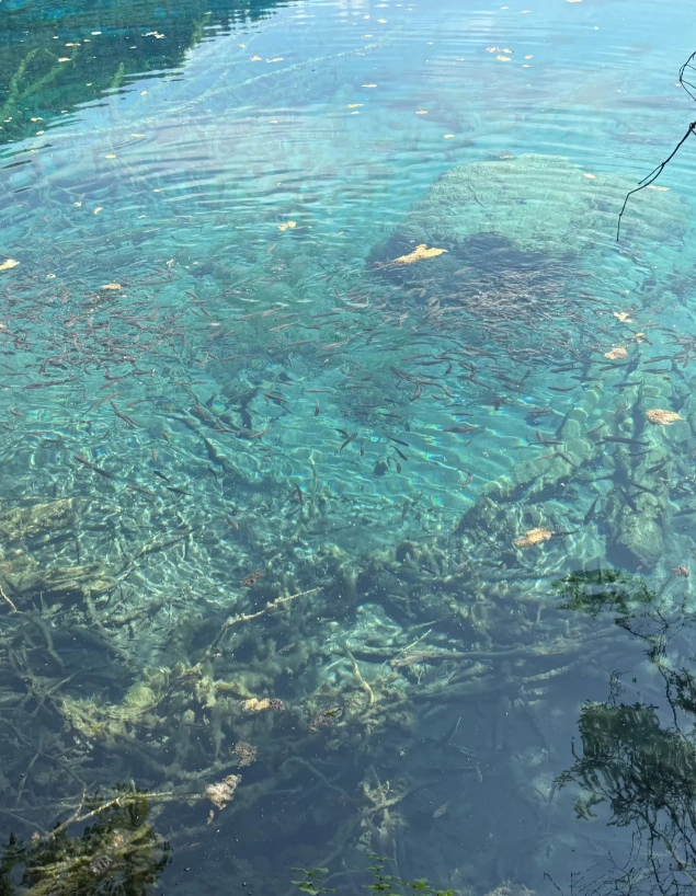 jiuzhaigou national park access jiuzhaigou national park access