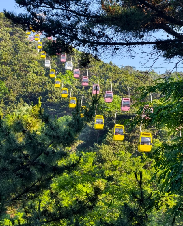 Dalian Forest Zoo gondola Dalian Forest Zoo gondola