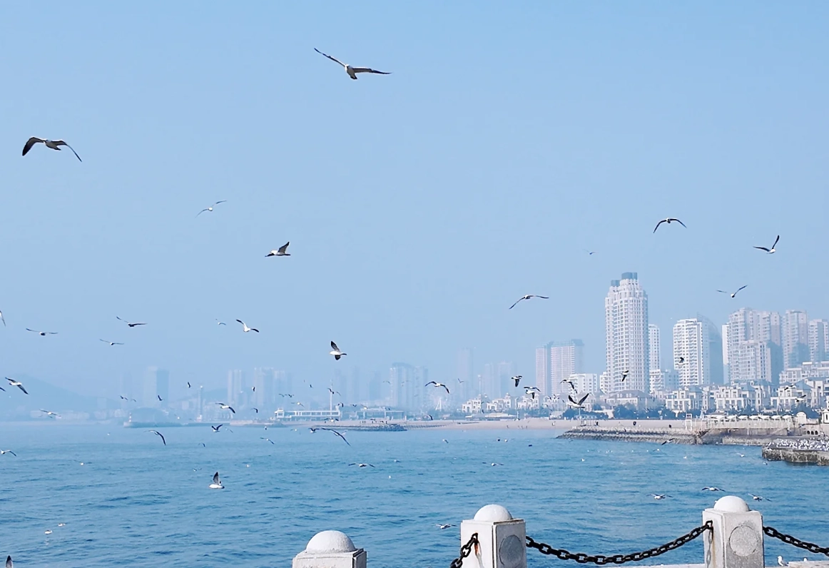 xinghai square evening visit xinghai square evening visit