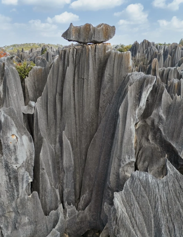 Stone Forest sunrise photography Stone Forest sunrise photography