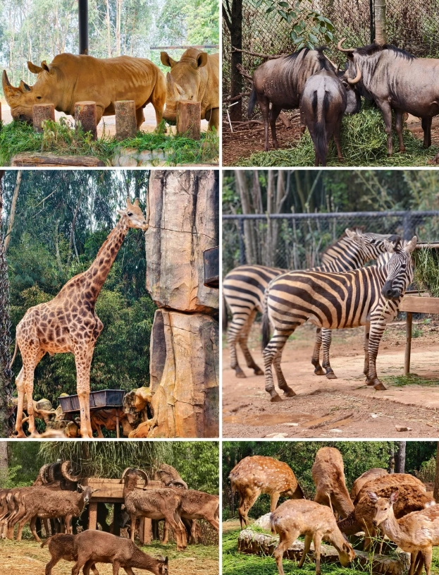 Yunnan Wildlife Park review Yunnan Wildlife Park review