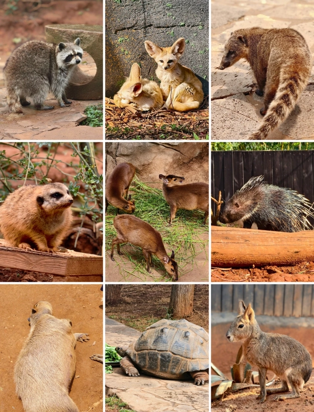 Yunnan Wildlife Park tips Yunnan Wildlife Park tips