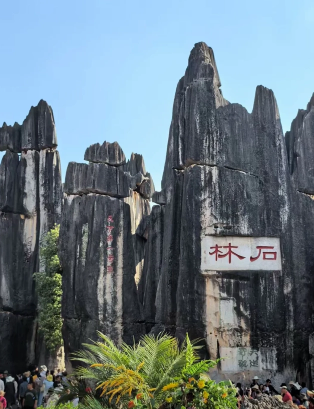 Stone Forest Scenic Area Guided Tour: 7 Tips to Beat Crowds
