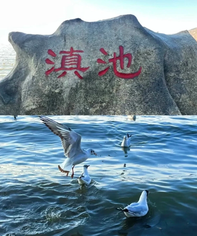 Dianchi Lake Kunming Dianchi Lake Kunming