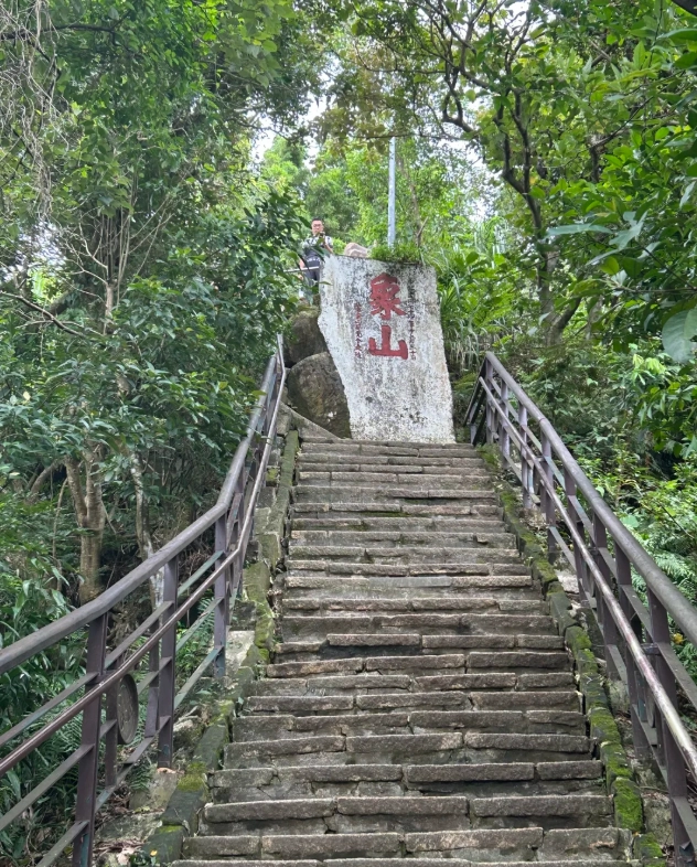 Photo of Elephant Mountain: elephant mountain taipei