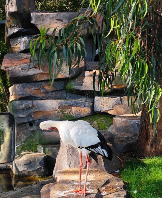 Yunnan Wildlife Park tickets Yunnan Wildlife Park tickets