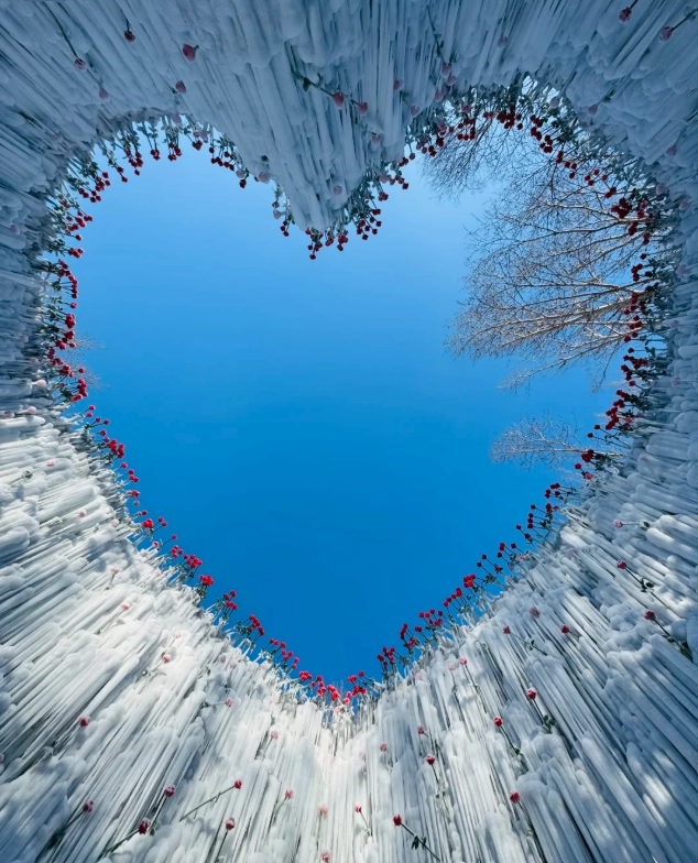 winter visit Changchun sculpture park
