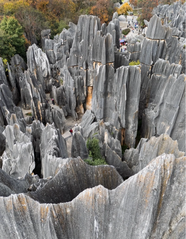 Stone Forest landscape photography Stone Forest landscape photography