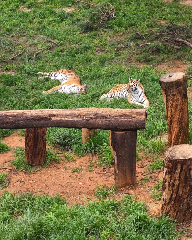 Yunnan Wildlife Park location Yunnan Wildlife Park location