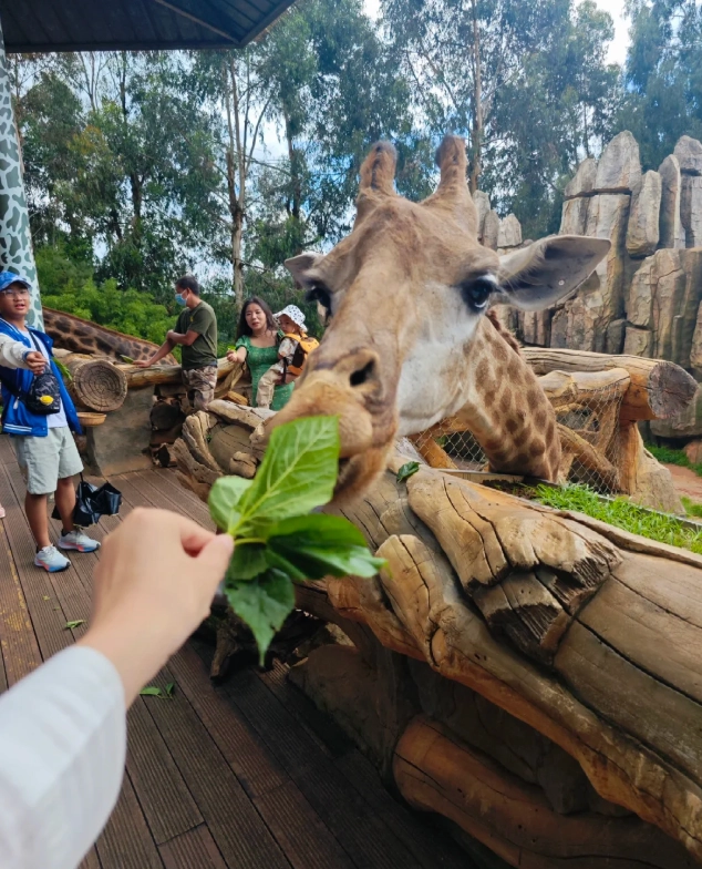 Yunnan Wildlife Park Yunnan Wildlife Park