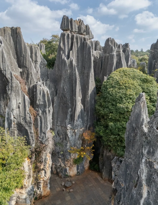 Stone Forest photo spots Stone Forest photo spots